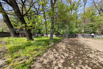 Padure in Barnova 1800 mp + 600 mp teren pentru casa - 3