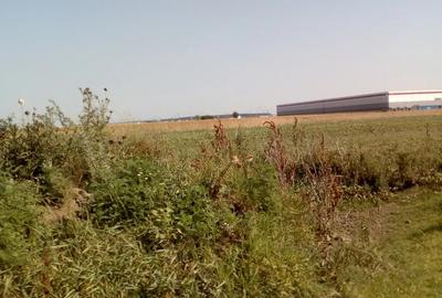 Teren în Centura Vest - 12