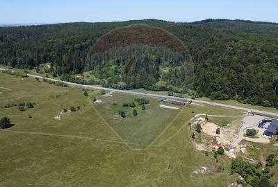 Teren agricol intravilan de 5561 mp, în Păltinoasa - 21