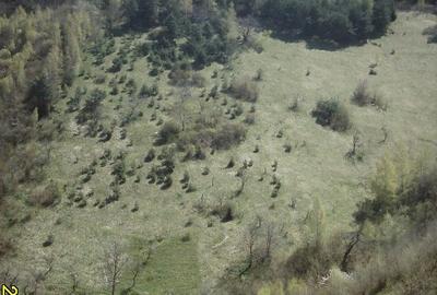 Teren agricol intravilan de 20370 mp, în Schei - 8