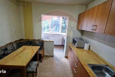 Apartament cu 2 camere decomandat, mobilat în Podgoria - 7