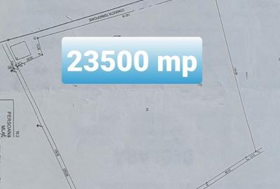 Teren de 23500 mp, în Vest - 8