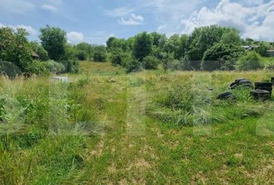 Casă cu 5 camere cu Teren 14660 Mp în Central