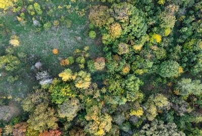 Vanzare Teren 1,800mp Vacaresti-Tinetretului - 11