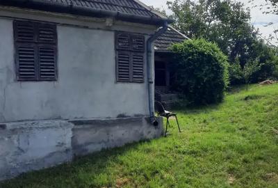 Casă cu 2 camere în Frunzeni - 1