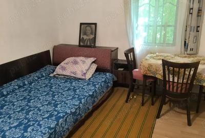 Gospodarie in Jud. Valcea, com. Pe?ceana, sat Ursoaia, 2 case ?i anexe - 7