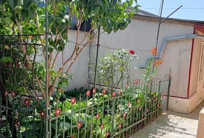 Casă cu 4 camere în Radu Negru - 4