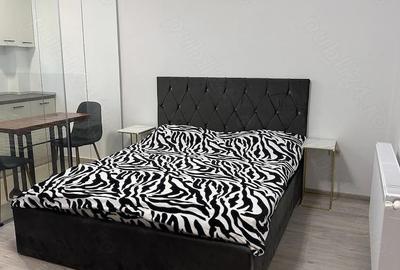 Garsonieră semidecomandată în Dudu - 4