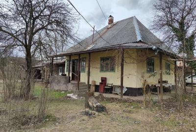 Casă cu 2 camere în Petrova - 6