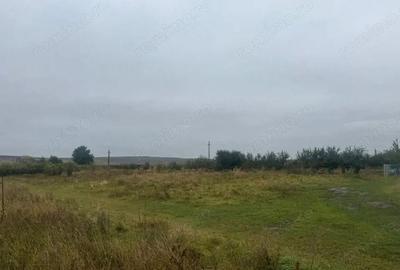 Teren de 10000 mp, în Moara - 8