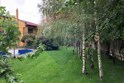 Proprietate specială, de 2,650 mp, în Băneasa - 11