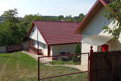 Casa Popesti, Iasi, 70m2 ,3000m2 teren - 3