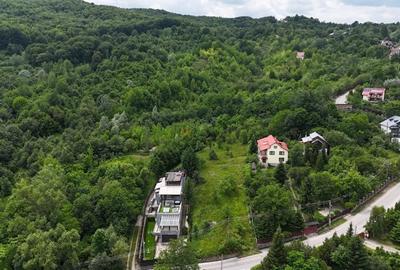 Breaza de Sus - Gura Beliei - teren cu vedere spre munte - 4