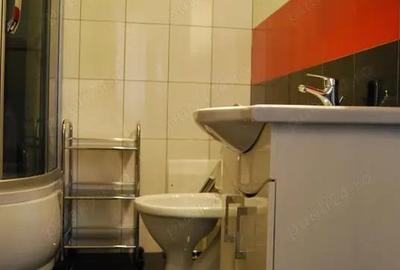 Apartament 1 camera ultracentral, zona Teatru-Facultatea de Medicina, mobilat, utilat - 280 euro - 7
