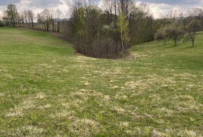 Spațiu comercial, în Central - 3