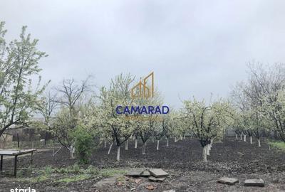 Spațiu comercial, în Tămădău Mare - 18
