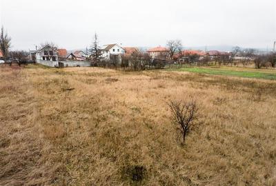 Teren 2200 mp cu utilitati,strada Radautilor, la 1 minut de Calea Clujului - 9