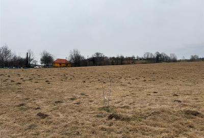 RECO , teren intravilan in Tomnatic, Vadu Crisului - 5