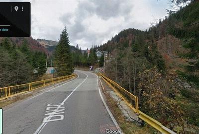TEREN EXTRAVILAN PADURE PISCUL NEGRU ARGES - 9