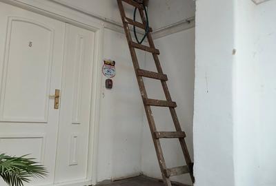 Pod de vănzare zona Romană - 2