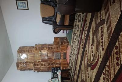 Casa de vanzare in Stoene?ti Olt - 5