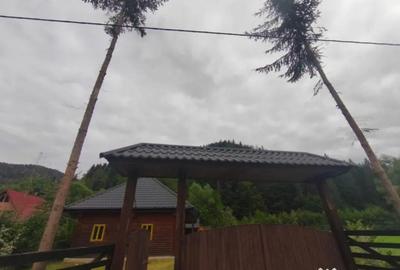 Casă cu 5 camere cu Teren 1250 Mp în Marginea - 6