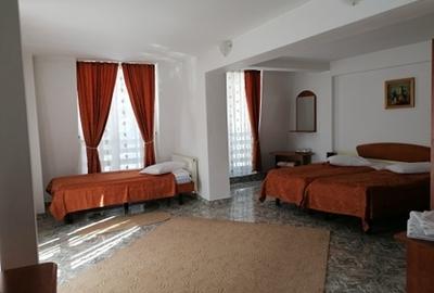 Busteni, ideal azil, hotel - 12