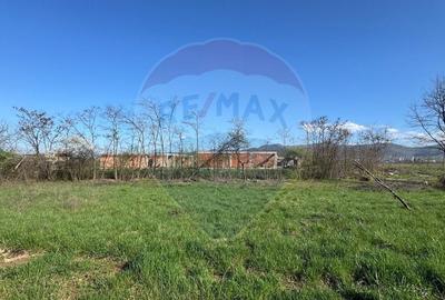 Teren Construcții intravilan de 1800 mp, în Merișor - 3