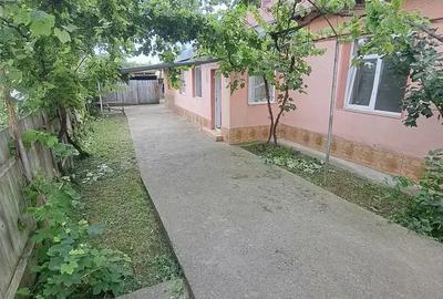 Vand casa din caramida - 9