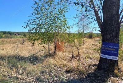 TEREN INTRAVILAN ?I EXTRAVILAN BAIA DE FIER - 7