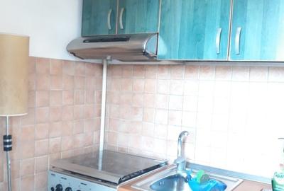 Panduri- garsoniera cocheta la cinci minute de metrou!! - 21