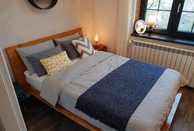 Apartament centru Domneasca, parc Eminescu, Spicu langa magazin Modern - 15