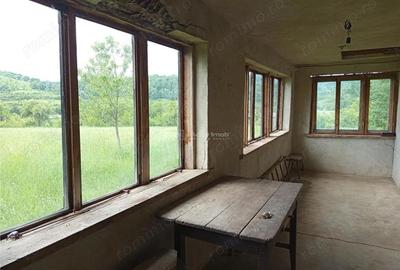 Teren de 16000 mp, în Borlovenii Noi - 3