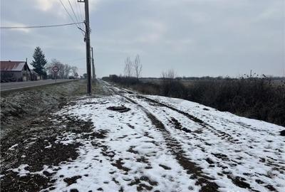 Teren de 26000 mp, în Inand - 2