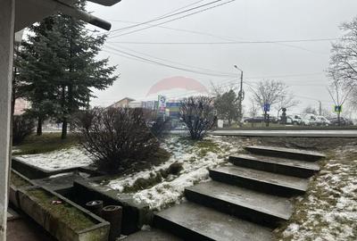 Spațiu comercial, de 166 mp, în Calea Romanului - 9