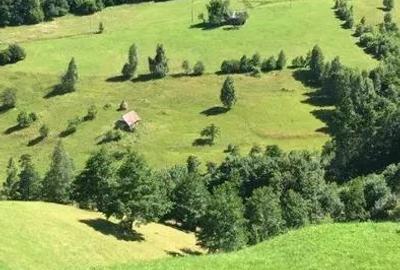 Teren de 10000 mp, în Moieciu