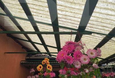 Vand casa la Nadrag zona linistita foarte aproape de centru - 13