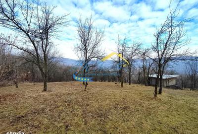 Spațiu comercial, în Gura Beliei - 4