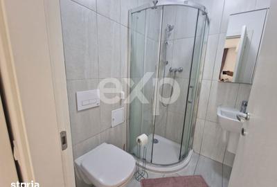 Apartament cu 3 camere, mobilat în Pantelimon - 12