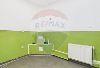 Casa cu 8 camere si 300mp curte, de inchiriat in zona Bd. Gloriei - 14