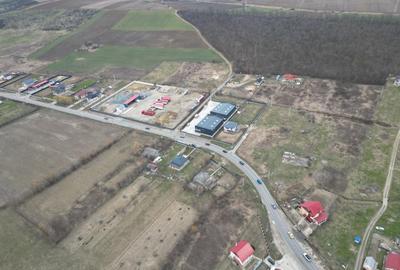 Teren Construcții intravilan de 3758 mp, în Mogoșești - 14