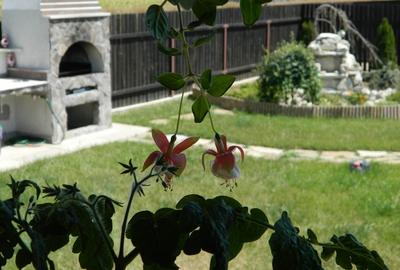 Vila la cheie- zona paduri - Sabareni - Pivnita +C.tehnica+Incalzire pardoseala - 14