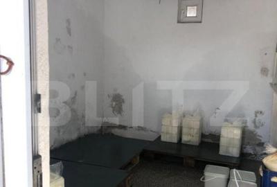 Afacere la cheie + casa, 160mp, Baraitaru - 20