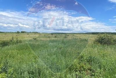 DE VANZARE Teren intravilan 600mp Drumul Piscul Mosului SISESTI - 22