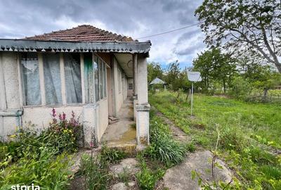 Casă cu 4 camere cu Teren 4430 Mp în Buciumeni - 5