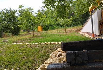 Casă cu 5 camere cu Teren 1343 Mp în Ozun - 2