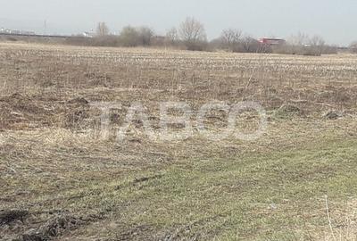 Teren extravilan 4200 mp in Sibiu zona Turnisor - 2