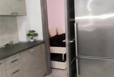 Garsoniera Titan Auchan, Parcul Teilor, Stefan Residence Garsoniera Titan Auchan, Parcul Teilor, Stefan Residence - 4