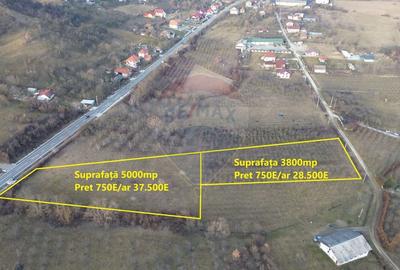Teren Construcții intravilan de 5000 mp, în Remetea Chioarului