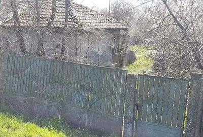 Casa ?i teren in comuna Valcele sat Olteni Casa ?i teren in comuna Valcele sat Olteni - 4